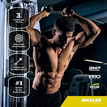 MAXLER 100% Creatine Monohydrate, 500g, Geschmacksneutral, Vegan, Kreatin Monohydrat, Creatin Pulver - 2
